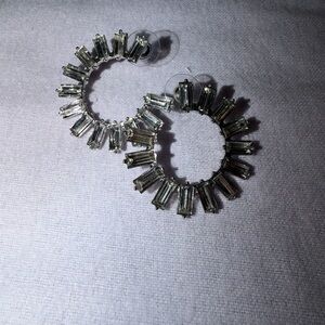 Elegant Silver Hoop Earrings